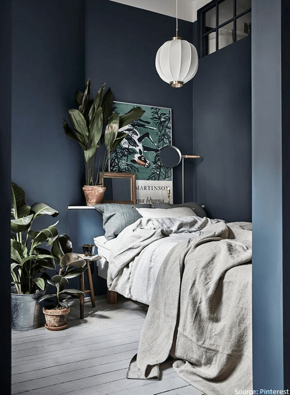 Black theme bedroom with indoor plants